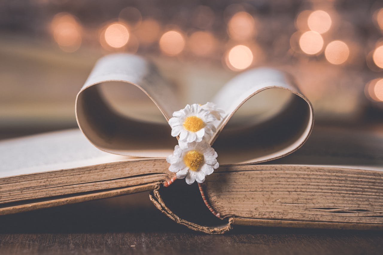 Close-up of a vintage book with daisies and warm bokeh lighting creates a soft, nostalgic atmosphere.